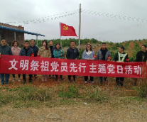 临武:文明祭扫我先行!