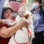 临武县开展狂犬病免费免疫活动