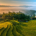 秋天里，桂东处处现美景