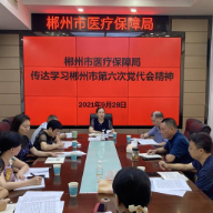 郴州市医疗保障局传达学习贯彻郴州市第六次党代会精神