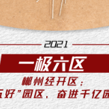 全力打造“一极六区”｜郴州经开区：创建“五好”园区、奋进千亿园区