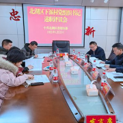 北湖区召开下派村党组织书记组织生活会