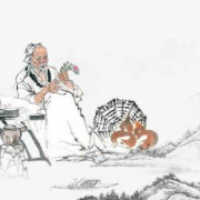 坚定不移传承和发展中医药事业