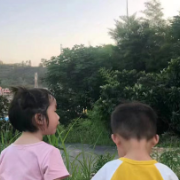 沙洲日记｜记忆中的故乡