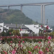 沙洲日记｜最美是家乡