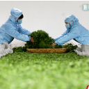 资兴：明前茶飘香 茶农采制忙