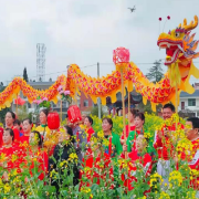 桂东：“麻雀节”里话丰收