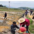 临武：撂荒种地解“乡愁”