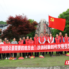 沙洲日记｜汇聚沙洲  共筑乡梦