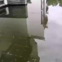 沙洲日记｜丹青难写是精神