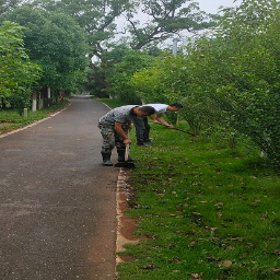 桂阳：生态廊道建设助推乡村振兴