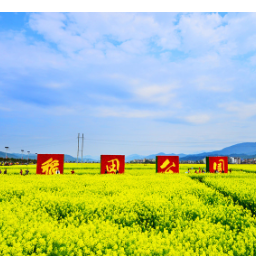郴州旅游·书记谈｜王洪灿：神农故郡 仁者安仁