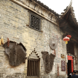 沙洲日记｜赓续千年血脉 建设文化沙洲