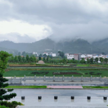 沙洲日记｜山气日夕佳 飞鸟还沙洲
