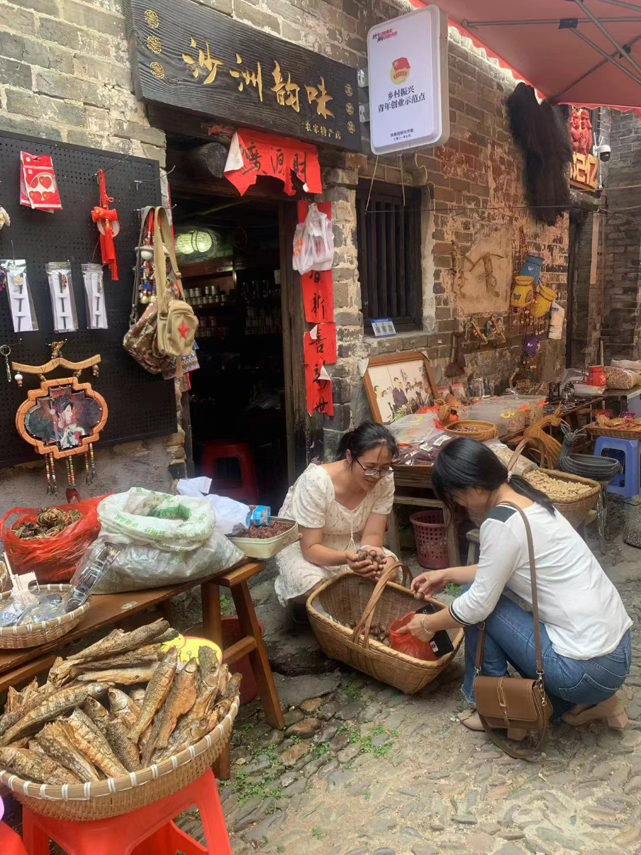 沙洲日记 | 小板栗  大幸福