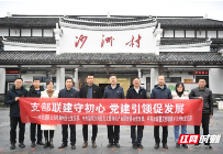 沙洲日记丨我在沙洲看山乡巨变