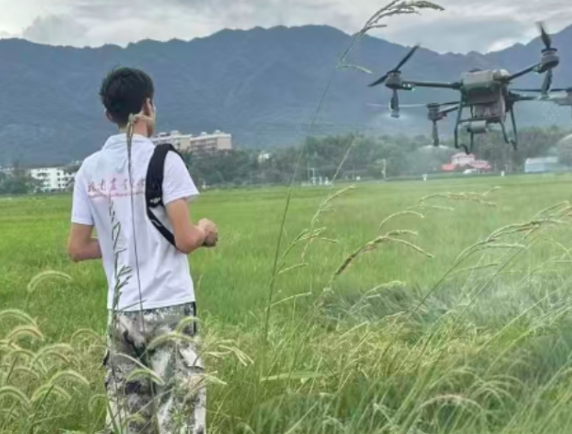 新农人·兴永兴 | 彭家兴：从军营到田野，他的“稻”路金黄