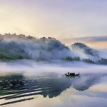 35.5万人次！4149.5万元！