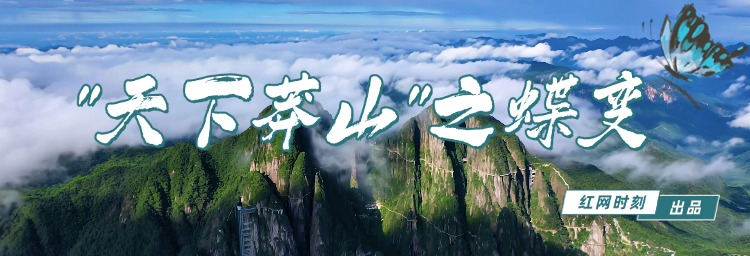 专题 | “天下莽山”之蝶变