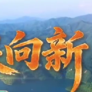 视频  |  郴江潮涌  踏浪向新