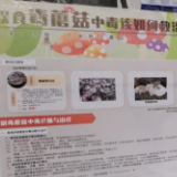 郴江街道：做好“误食野生蘑菇”防控宣传