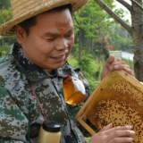 郴州北湖区：“吸睛”又“吸金” 电商助力农货出山