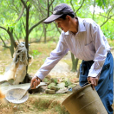 何祥生：身残志不残  种养结合摘“穷帽”