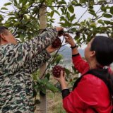 新宁周柏香:电商赋能家族传承 老手艺焕发新活力