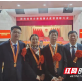 一个组织一座堡垒 一名党员一面旗帜——写给邵阳县卫健系统全省抗疫先进