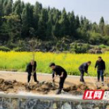 武冈梅树田村：干群挥锄添绿 共建美丽家园