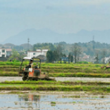 武冈:打牢稳粮基础 惠农支粮处处春
