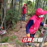 邵阳县罗城乡新时代文明实践志愿者开展清洁家园行动