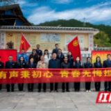 城步税务:税月有声秉初心 青春无悔担使命