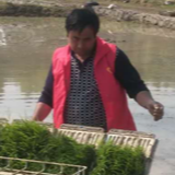 武冈:全力推动春耕生产 夺取夏粮丰收