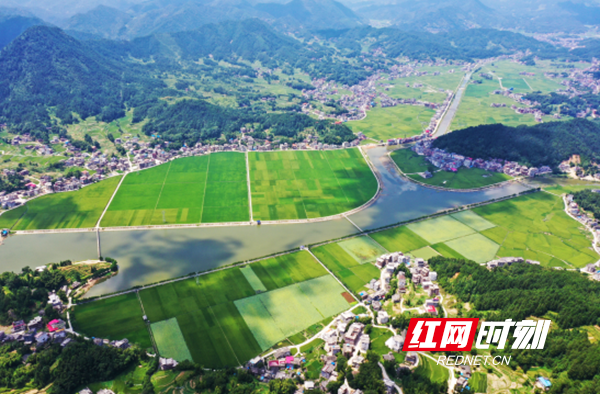 微信图片_20200504231933.png