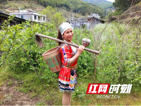 1592896927(1)_副本.jpg
