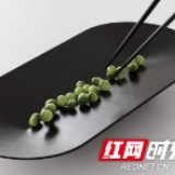 邵阳学院艺术设计学院学子获国际顶级设计大奖红点奖