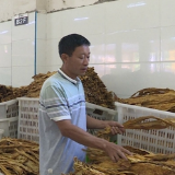 肖祥斌：勤劳努力能致富 不做懒人奔小康