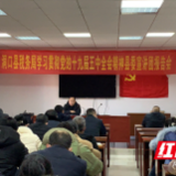 洞口税务举办党的十九届五中全会精神宣讲报告会