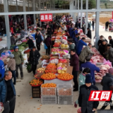 新邵小塘镇:“票决制”助推“大民生”