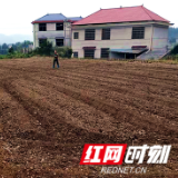 武冈:黄泥坳村秋种忙,马铃薯试验基地助力乡村振兴
