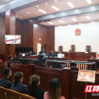 新邵法院：开展宪法宣传系列主题活动 弘扬宪法精神