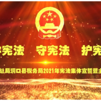 视频 | 洞口县税务局2021年宪法集体宣誓暨主题朗诵活动