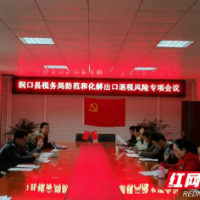 洞口税务：推进防范和化解出口退税风险