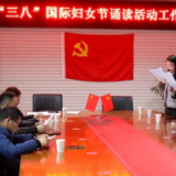 洞口税务启动“巾帼税务蓝 同筑中国梦”庆祝 “三八”国际妇女节活动