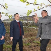 新邵:投放5亿信贷资金助力春耕生产