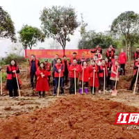 邵东市林业局开展“我为群众办实事”义务植树认捐认养活动