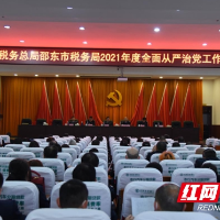 邵东市税务局召开全面从严治党暨干部队伍纪律教育整顿专项行动动员会