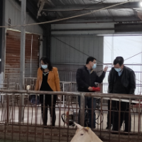 省专家服务团技术支援城步 助力城步产业发展