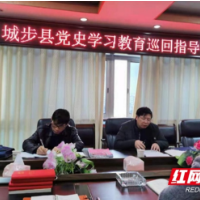 城步苗族自治县党史学习教育第五巡回指导组到县税务局督导检查